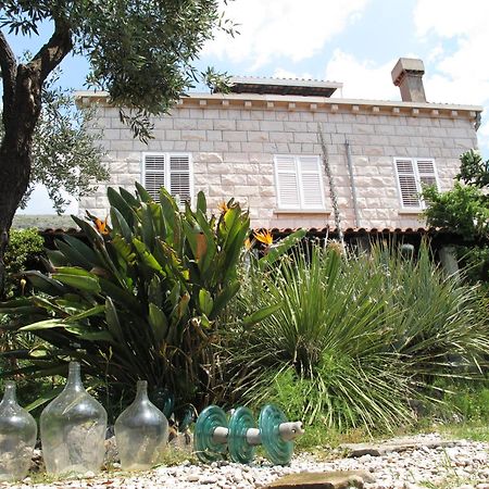 Guest House Maria Bilicic Dubrovnik Exteriör bild