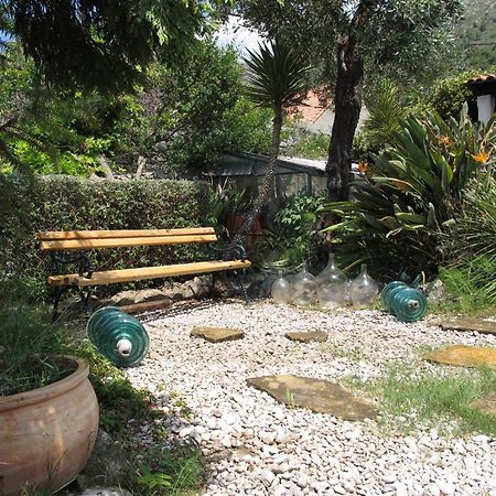 Guest House Maria Bilicic Dubrovnik Exteriör bild